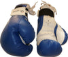 10oz Performance Bag Sparring Boxing Gloves Mitts Punch Kick Shield MMA Gym