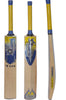 LAEMA PRO PowerPack Performance GRADE1 ENGLISH WILLOW Cricket Bat Batsman TEST