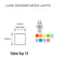 UNIQUE Designer Decor MOOD Light Indoor Outdoor LED Rechargeable COLORFUL-UK